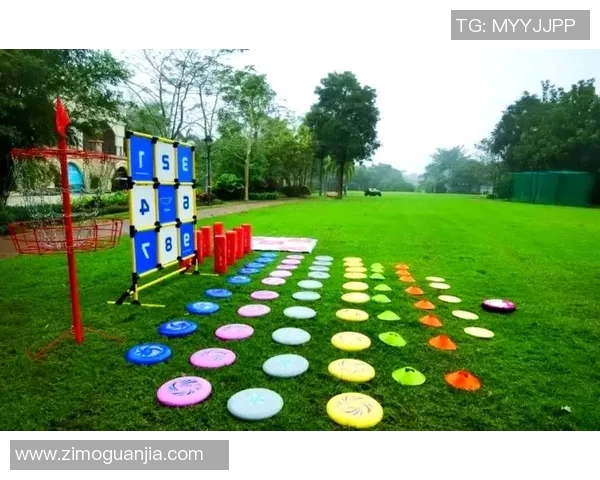 飞盘盛宴：深入广州飞盘队的团队精神与协作之道